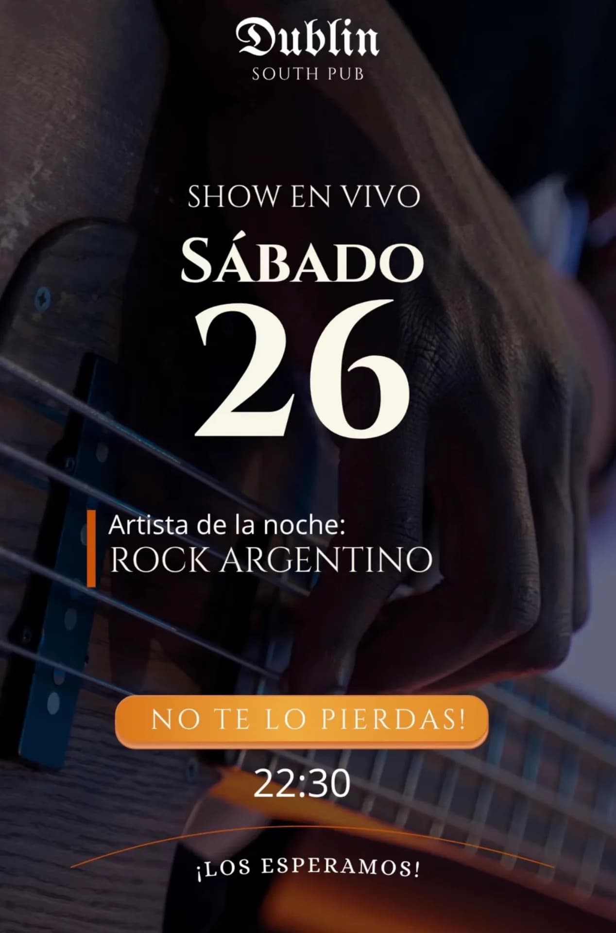 Show en vivo de rock argentino en Dublin South Pub, imagen 1
