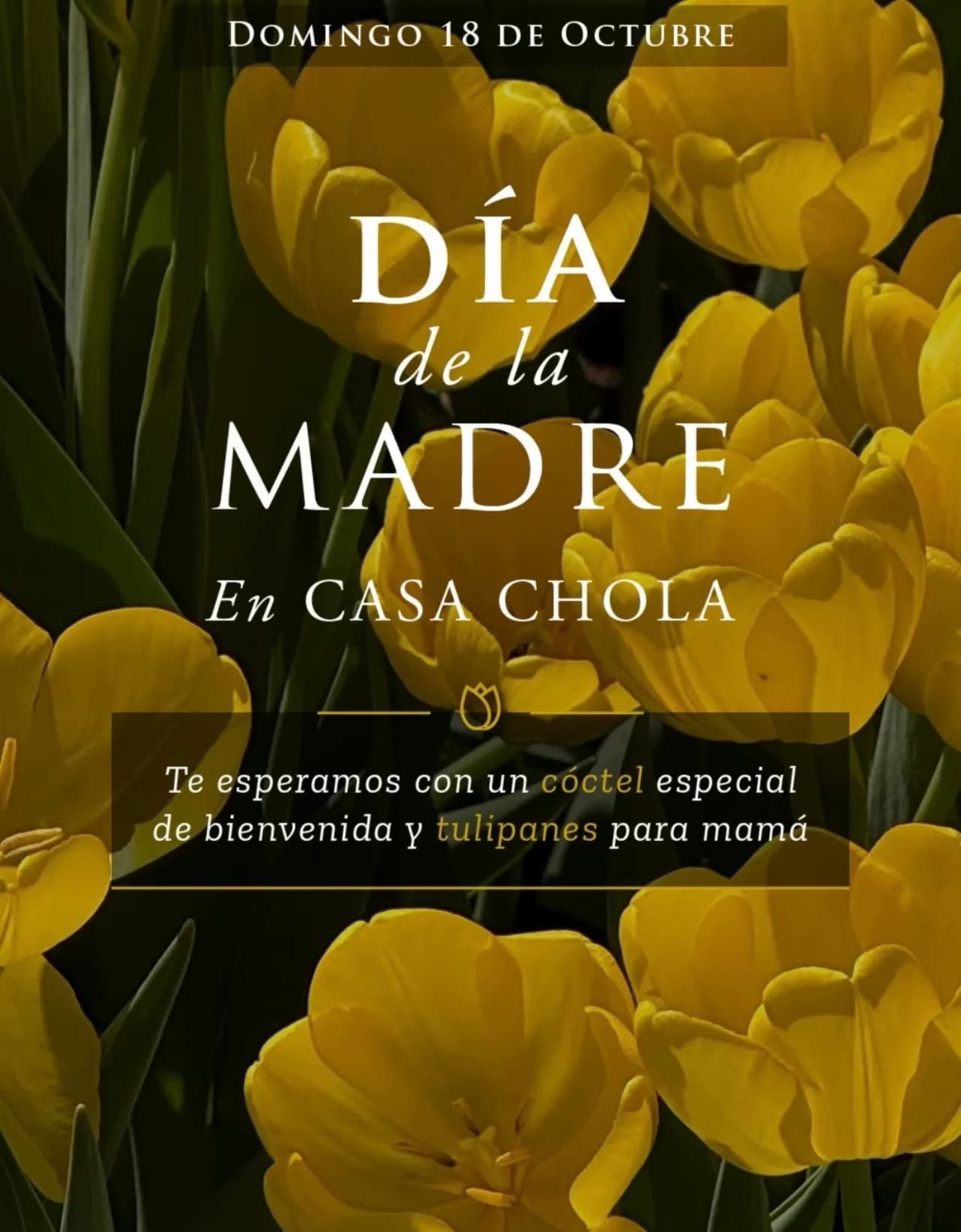 Día de la Madre en Casa Chola, imagen 1