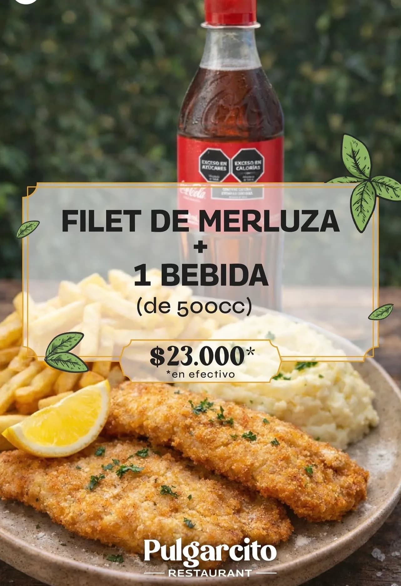 Filet de merluza con bebida por $23.000 en efectivo, imagen 1