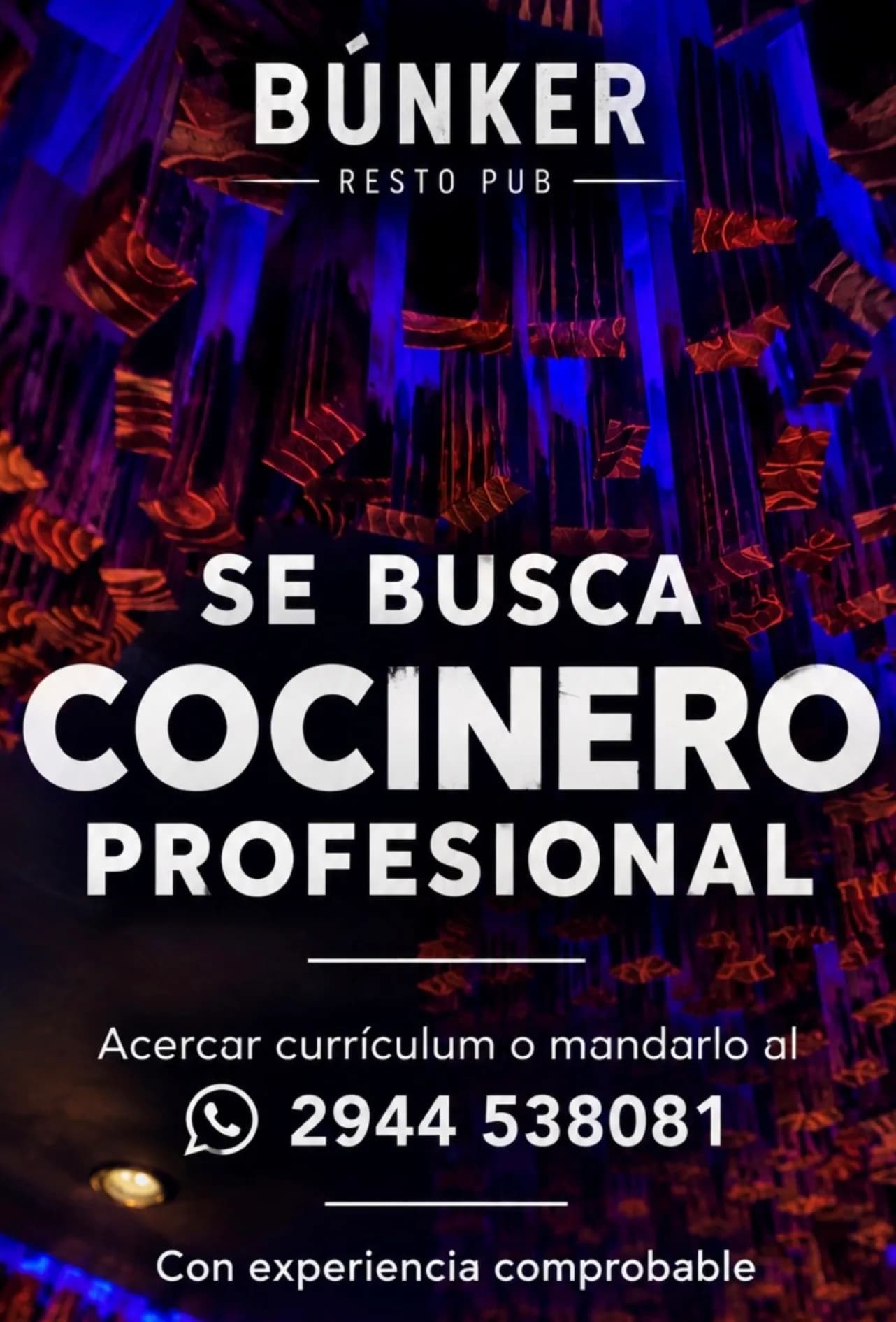 Bunker busca cocinero profesional, imagen 1